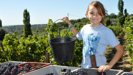 financement et reprise de barriques